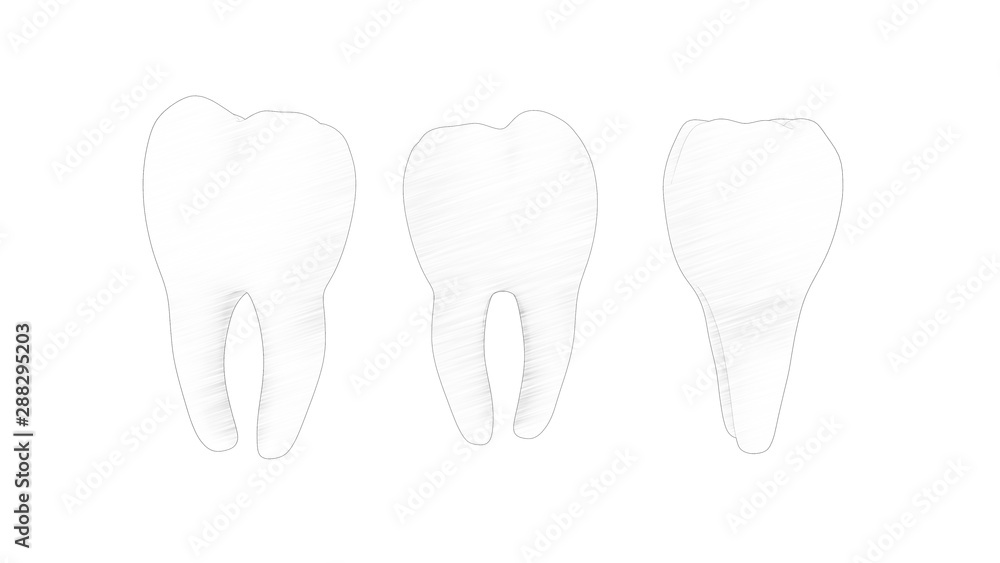3d rendering of a tooth molar isolated in white background 3d rendering of a tooth molar isolated in white background