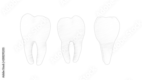 3d rendering of a tooth molar isolated in white background