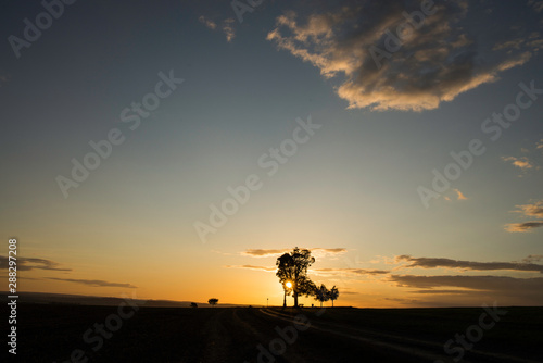 Tree silhouette in sunset with a wayside cross with field and road. Calvary in landscape. Olomouc Czech Republic
