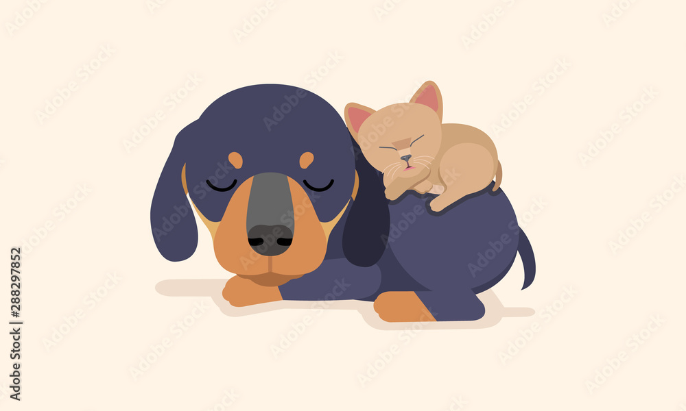 Fototapeta premium Vector illustration of lovely cat and dog sleeping