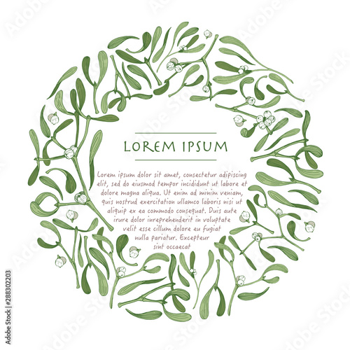 Vector christmas wreath with mistletoe plant. Nature botanical frame with white background