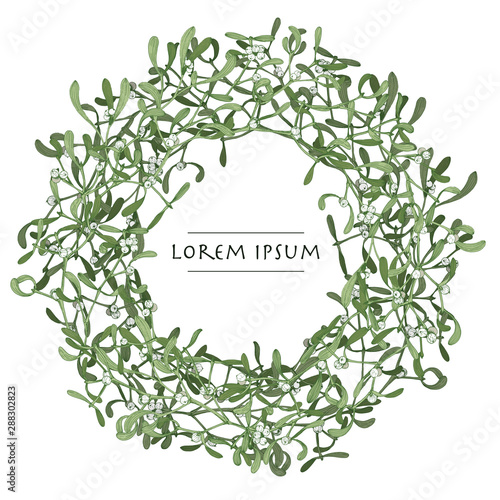 Vector isolated christmas wreath with mistletoe plant on white background. Circle frame image for greeting cards 