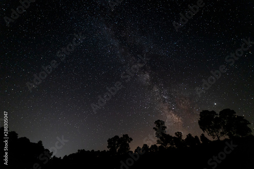 Milky way over a pine forest. Granadilla. Spain. photo