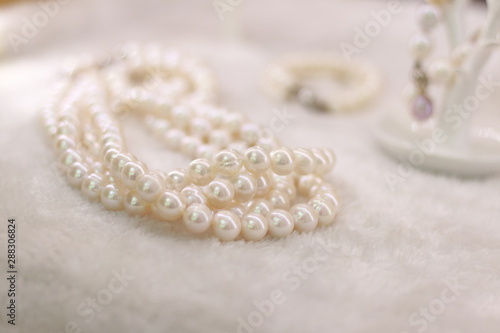 White natural japanese pearl necklace on fur background