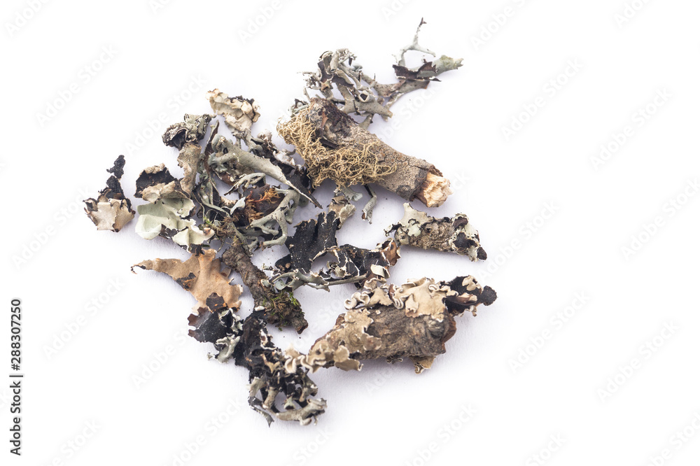 BLACK STONE FLOWER OR DAGAD PHOOL OR PARMOTREMA PERLATUM OR KALPASI BLACK STONE FLOWER OR DAGAD PHOOL OR PARMOTREMA PERLATUM OR KALPASI