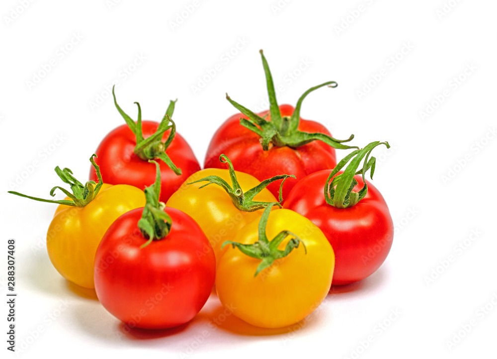 Gelbe und rote Tomaten vor weißem Hintergrund Gelbe und rote Tomaten vor weißem Hintergrund