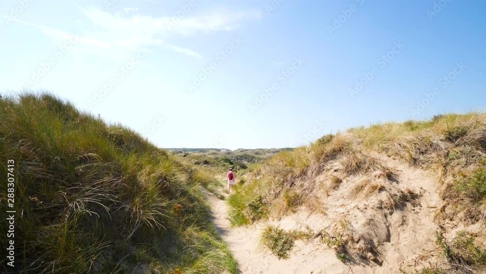 Rear view of woman walking alone hiking in the Zuid-Kennemerland National Park Netherlands on a warm summer day cinematic 4K UHD footage Rear view of woman walking alone hiking in the Zuid-Kennemerland National Park Netherlands on a warm summer day cinematic 4K UHD footage