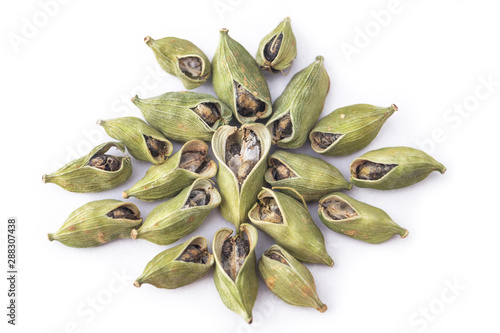 Obraz na plátně Green cardamom garam masala on white background, macro photography of food herbs