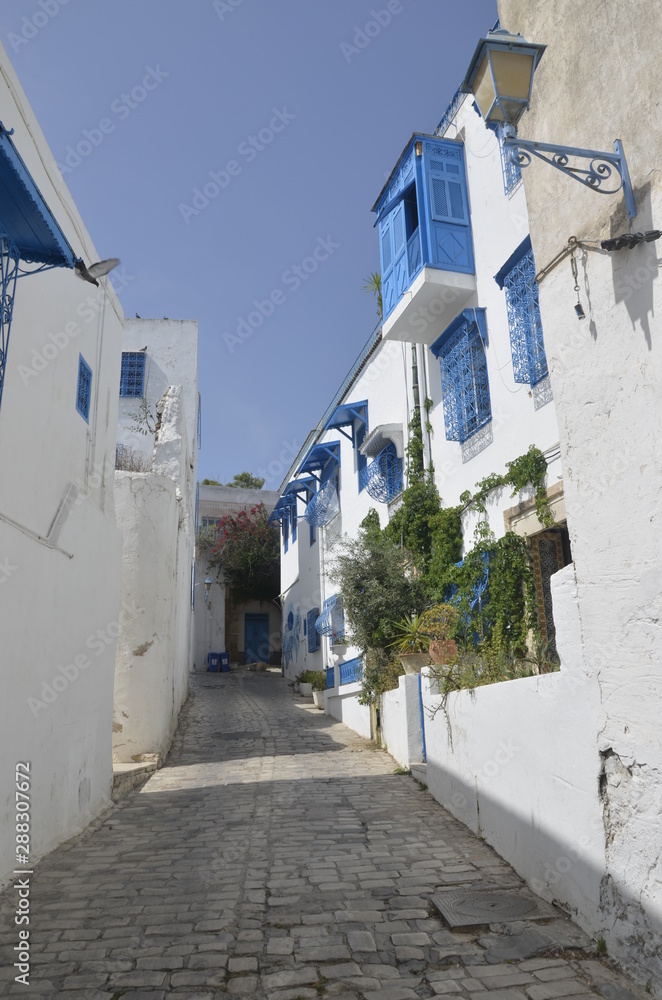Fototapeta premium Medina. Cityscape with white blue colored houses in resort town Sidi Bou Said. Arabian culture. Tunisia, North Africa. Background.