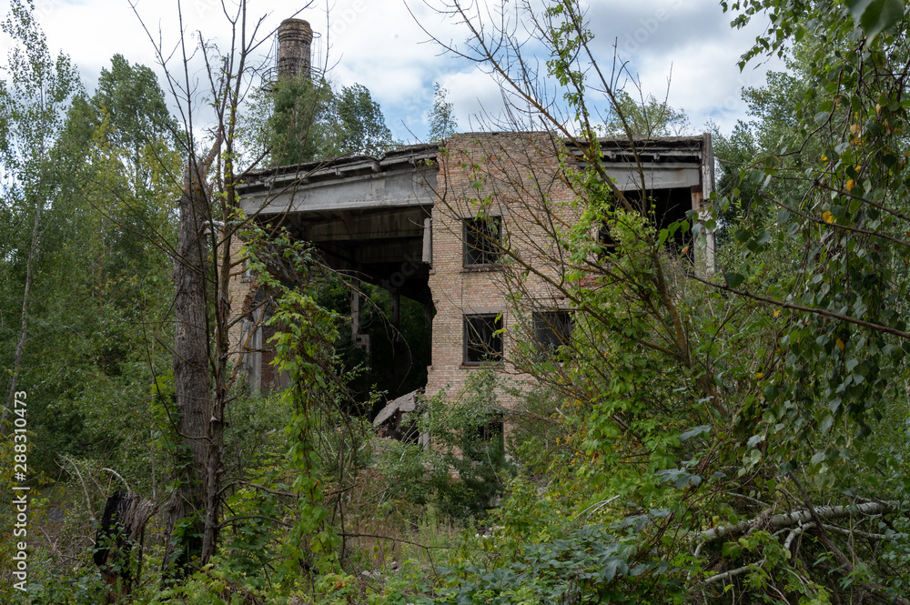 The ruins of an old factory and a chimney. An old factory overgrown with trees.