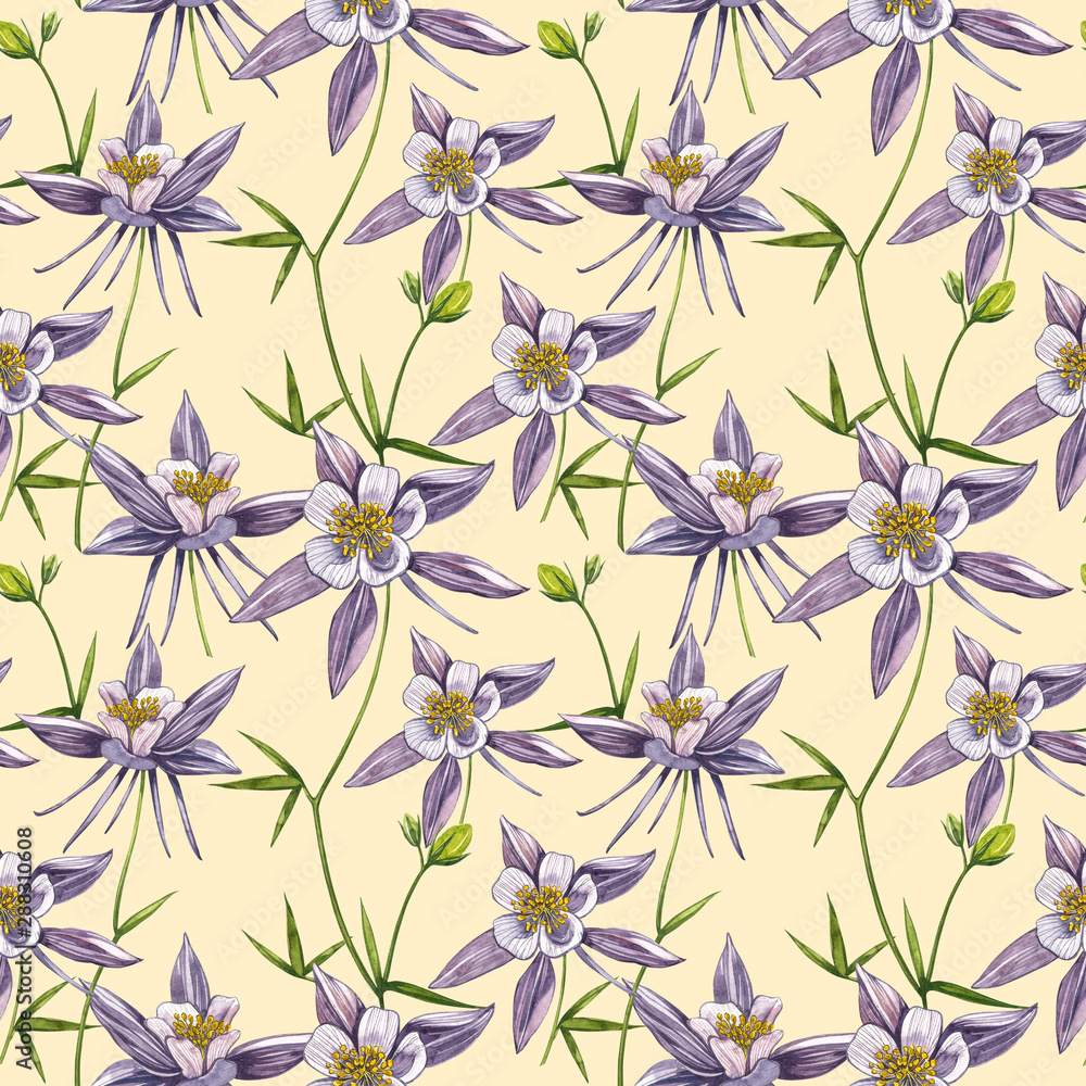 Double Columbine flowers. Seamless pattern. Collection of hand drawn flowers and plants. Watercolor set of flowers and leaves, hand drawn floral illustration isolated on a white background. Botanical