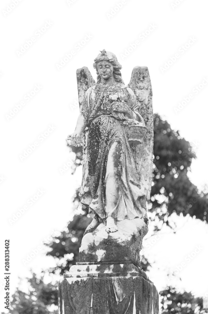 Fototapeta premium statue of an angel in cemetery
