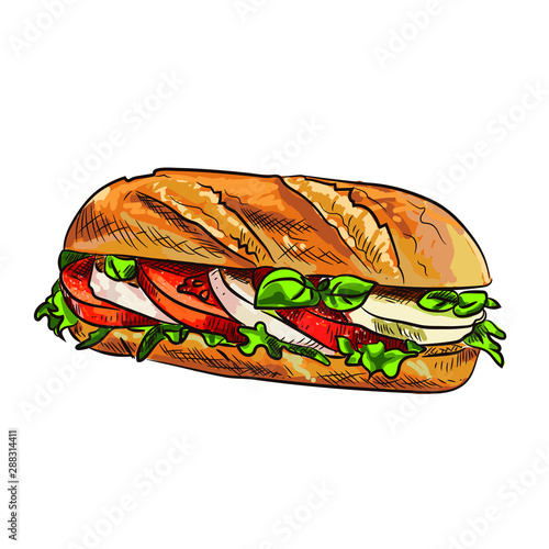 Hand drawn Sketch illustration converted to vector, european sandwich with mozzarella tomatoes and basil.