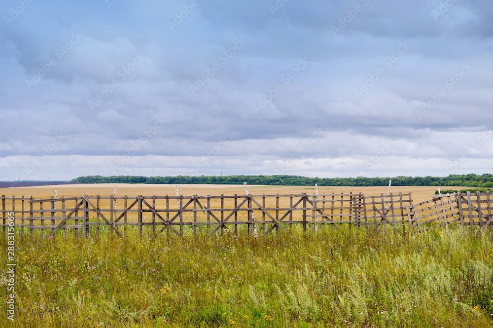 autumn field behind an old wooden fence