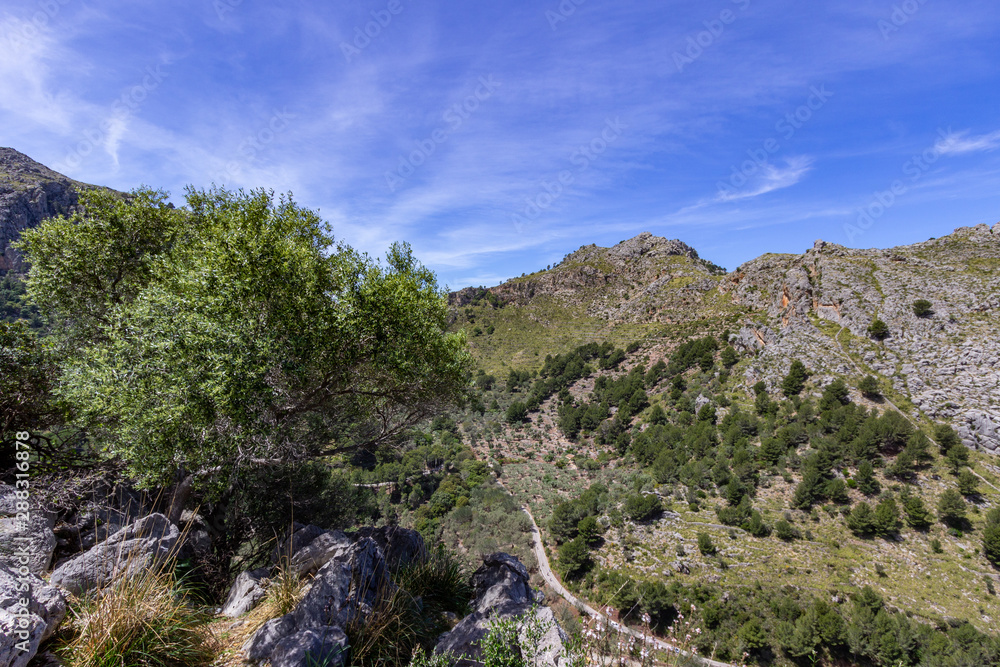 Scenic view at landscape of Serra de Tramuntana on island Mallorca, Spain on a sunny day