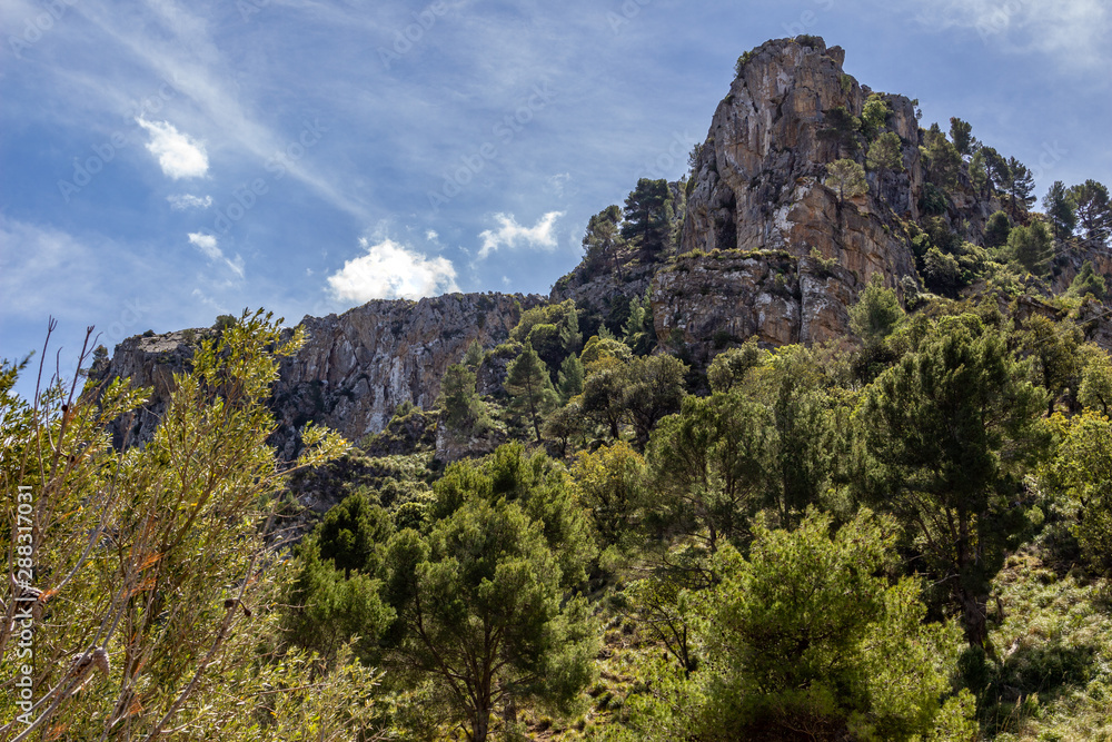Scenic view at landscape of Serra de Tramuntana on island Mallorca, Spain on a sunny day with rocks and green trees
