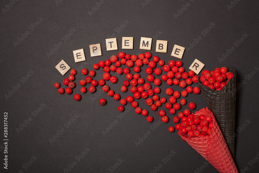 Obraz premium Fresh Rowan in black ice cream cones with letters September