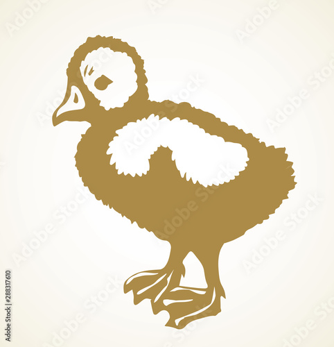Little duckling. Vector drawing icon