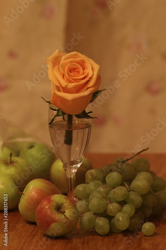 rose and frutes photo