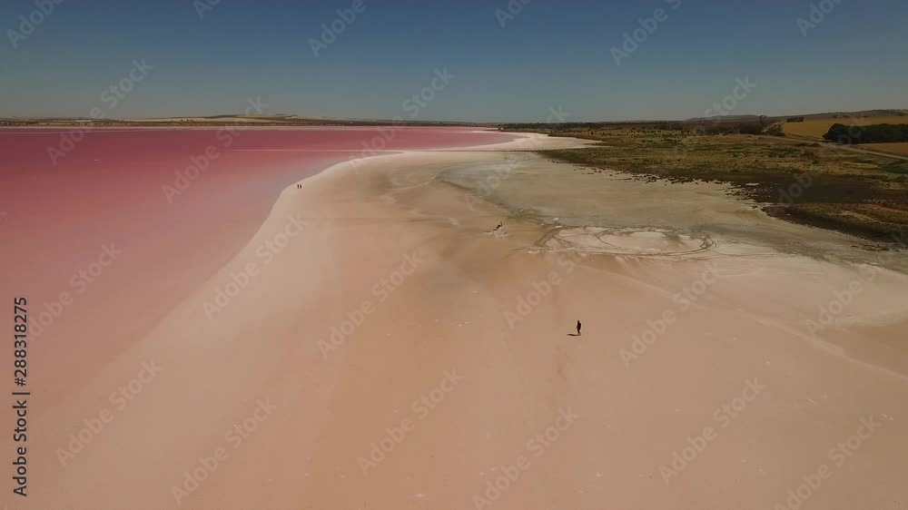 Walking on a pink lake Walking on a pink lake