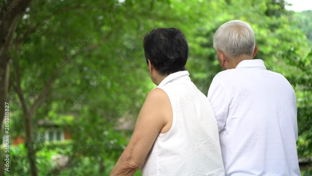 Asian senior couple pointing natural property Asian senior couple pointing natural property