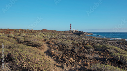 Arid landscape of Malpais de la Rasca  a natural reserve close to Palm-Mar town  with views towards the lighthouse or Faro Punta de Rasca  and the endemic vegetation  Tenerife  Canary Islands  Spain 