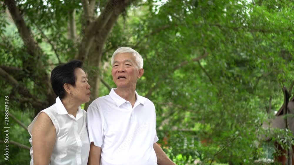 Asian senior couple smiling happy green tree background Asian senior couple smiling happy green tree background