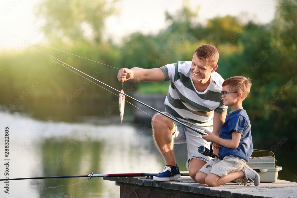 Dad and son fishing together on sunny day - obrazy, fototapety, plakaty 