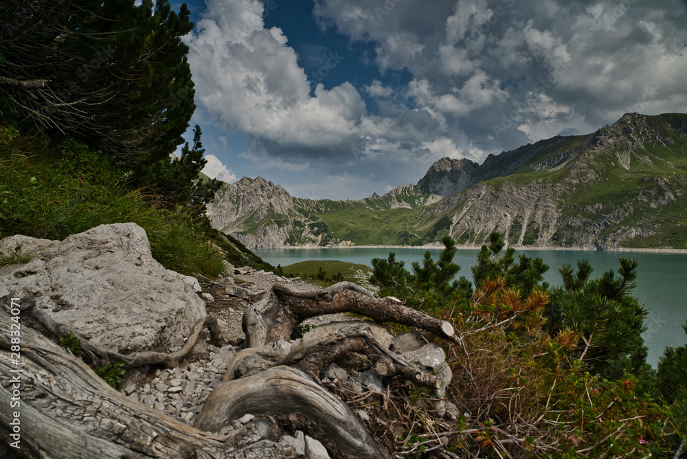 Wanderweg und Wurzeln vor See in den Alpen
