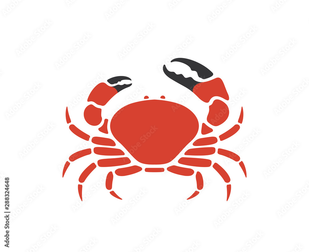 Tasmanian giant crab. Isolated crab on white background Tasmanian giant crab. Isolated crab on white background