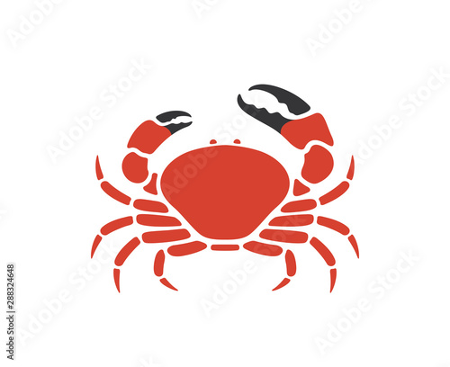 Tasmanian giant crab. Isolated crab on white background
