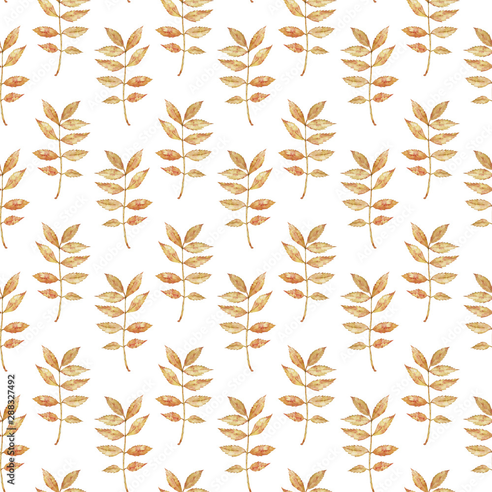 Pattern of watercolor fall yellow and red branch with leaves on white background. Pattern of watercolor fall yellow and red branch with leaves on white background.
