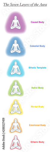 Seven aura bodies chart of a meditating yoga woman. Labeled chart - etheric, emotional, mental, astral, celestial and causal layer an template. Different rainbow colored auras. Vector white.