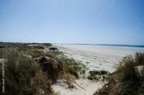 Beach dunes in Brittany  France