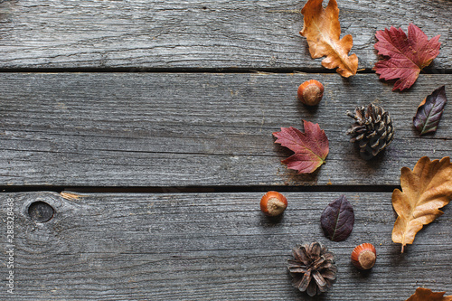different autumn leaves on an old wooden background