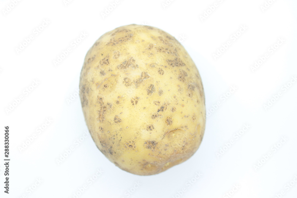 Fototapeta premium Ripe Potato Tuber located on a white background