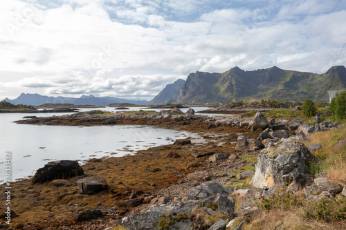 Landscape near Nedredal  Vestvagoy  Lofoten Islands  Norway