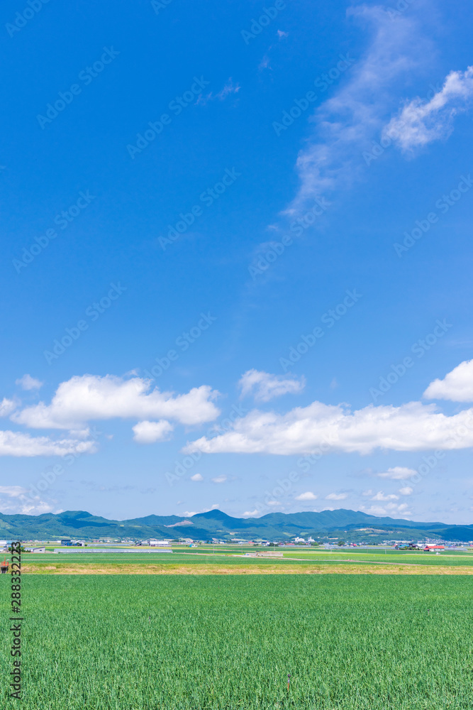 北海道富良野 穀倉地帯を行く