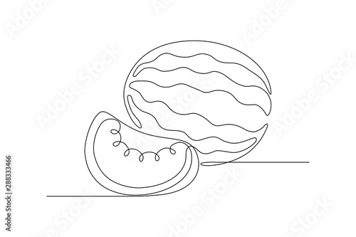 Watermelon in continious line art drawing style. Minimalist black line sketch on white background. Vector illustration