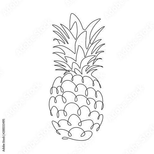 Pineapple tropical fruit in continuous line art drawing style. Black line sketch on white background. Vector illustration