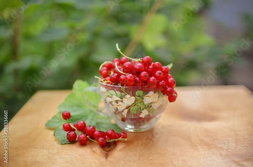 Red currant in the bowl. Fresh berries in nature. Still life with red berries.