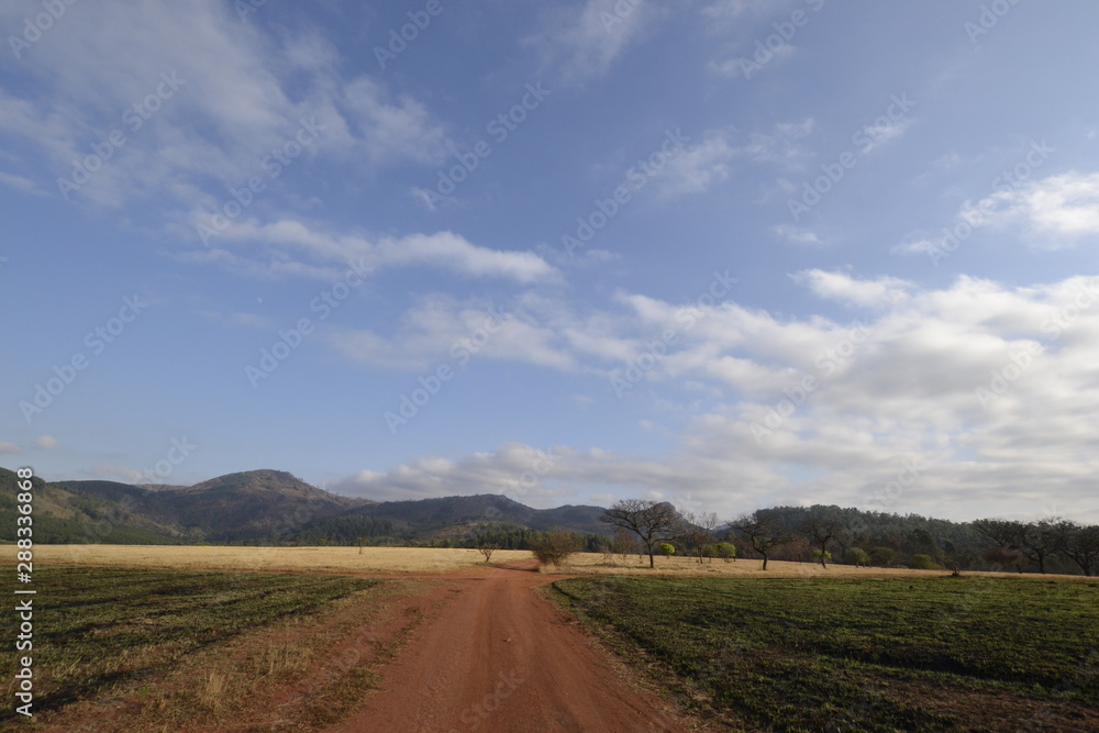 MLILWANE WILD SANCTUARY, SUDAFRICA