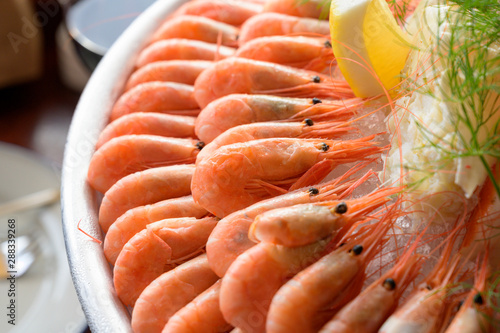 Photography Shrimps cooked line up on plate wtih lemon lobsters seafood plate