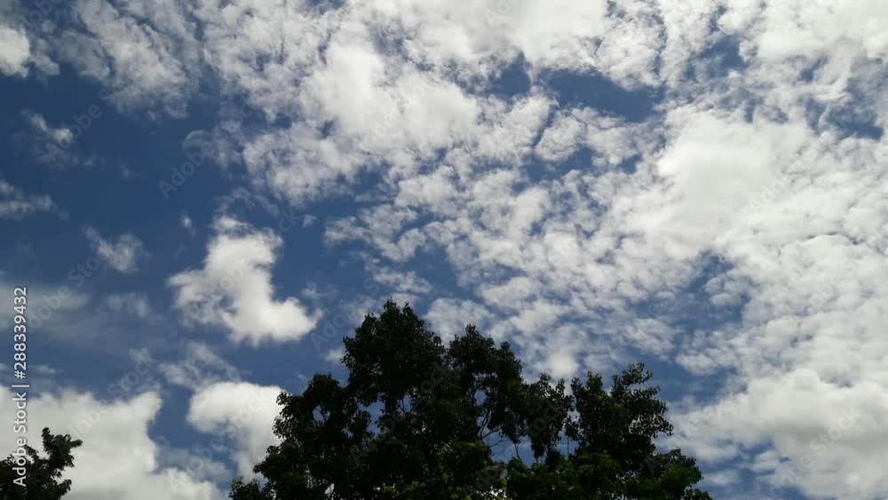 Time lapse clouds sky background with green tree Time lapse clouds sky background with green tree