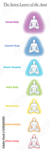 Fototapeta Seven aura bodies chart of a meditating yoga man