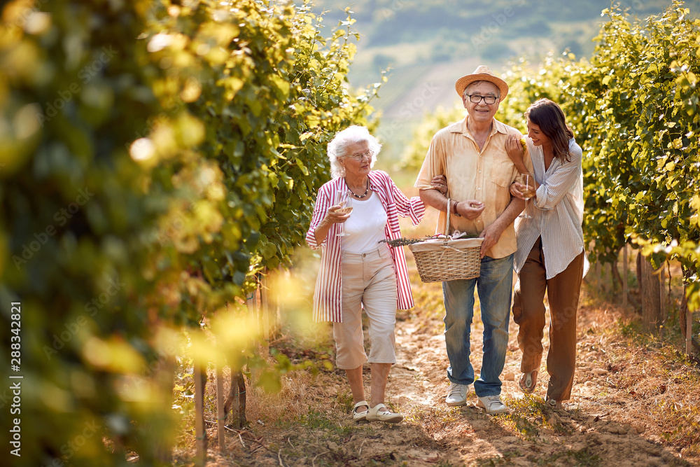 Fototapeta premium Winemaker family together in vineyard.