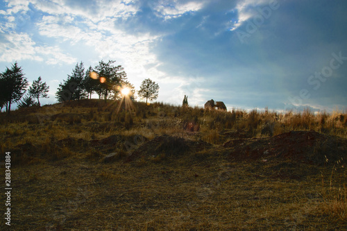 Fototapeta Naklejka Na Ścianę i Meble -  Sol entre arboles en la colina