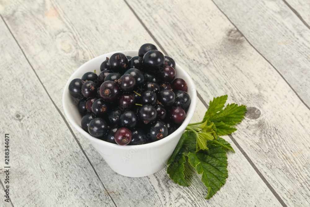Fresh ripe sweet black currant Fresh ripe sweet black currant
