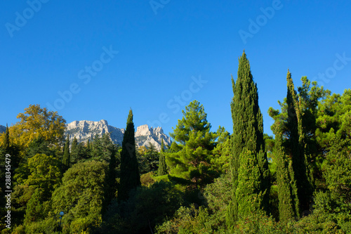 View of Mount Ai-Petri from Vorontsov Park. Alupka. Republic of Crimea. photo