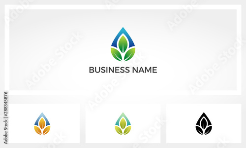 Leaves And Water Drop Logo